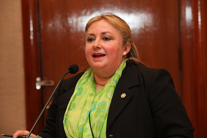 Ms. Julia Maciel, the Counsellor at the Paraguay Permanent Mission to the United Nations, speaks at the GPC 2013 women session.