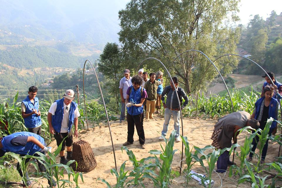 Global Peace Foundation volunteers build transitional shelters in Nuwakot.