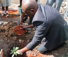Daniel Juma planting a tree on Mandela Day 2014