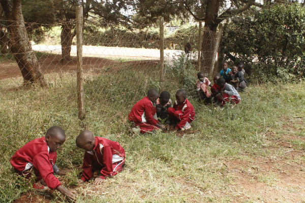 Tree planting on Hand Washing Day 2015, hosted by Global Peace Foundation Kenya