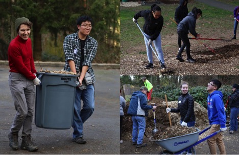 Volunteers work hard spreading recycled wood chips at Lynndale Park