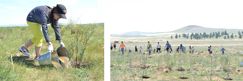My Club Mongolia sets out to water 8,000 trees.