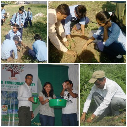 UN World Environmental Day 2011 volunteer tree planting.