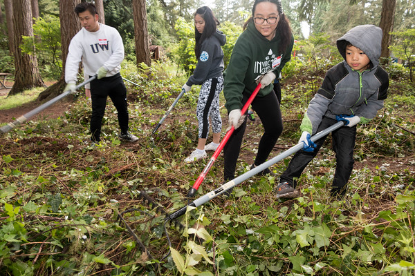 Volunteers remove invasive plants from park trail