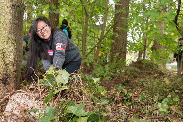 Volunteer pulls out invasive plant from local trail