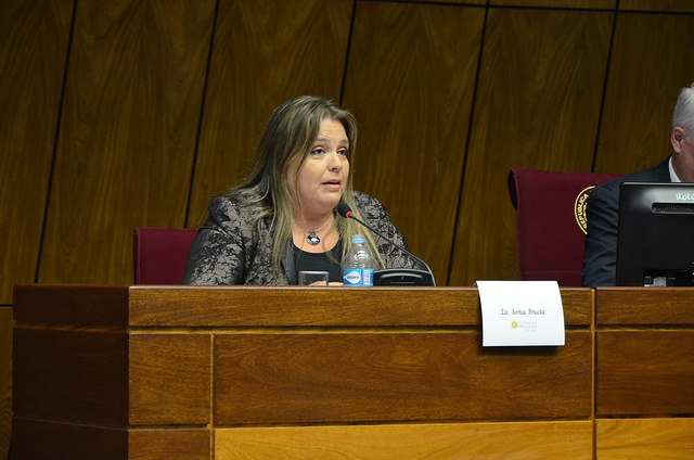 Lic. Sonia Brucke, Technical Director of the Legislative Commission