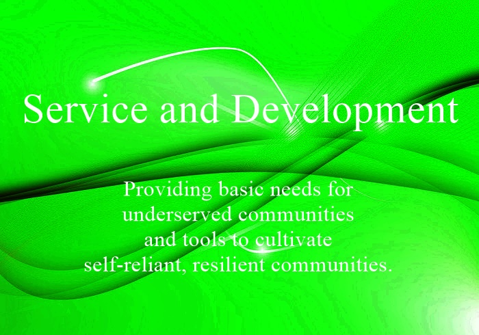Service And Development Cover