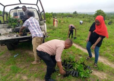 Tanzania Tree Planting