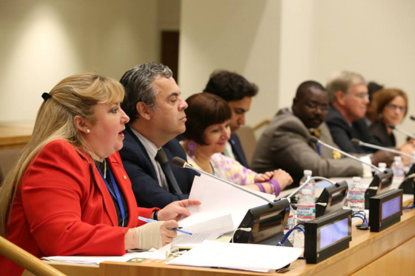 Julia Maciel moderates at United Nations during IYLA 2014.