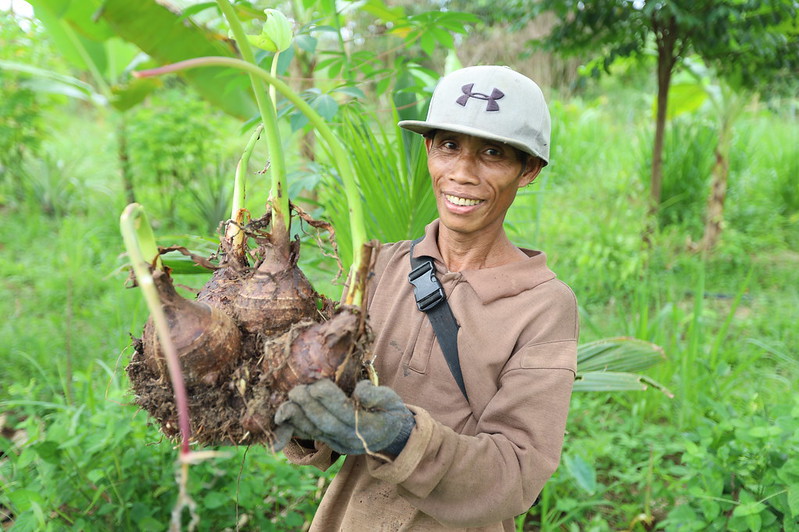 Farmer holds organic produce harvested through a GPF Malaysia farming program