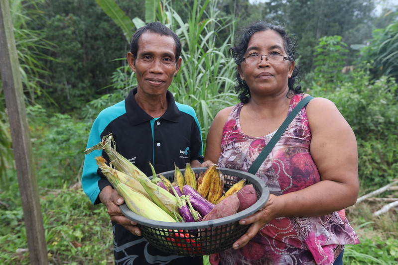 Pak Jamidah and his wife proudly showing their Syntropic farm and harvest.