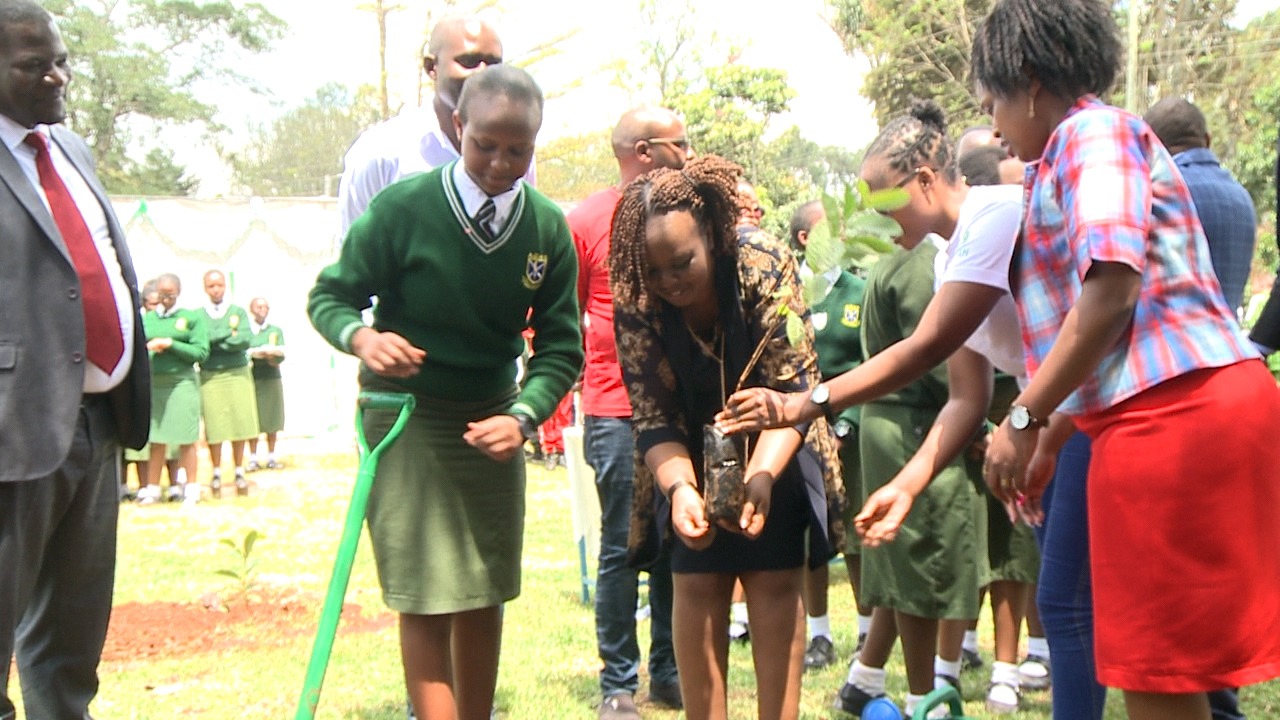 GPF Kenya Leads Tree Planting Initiative.