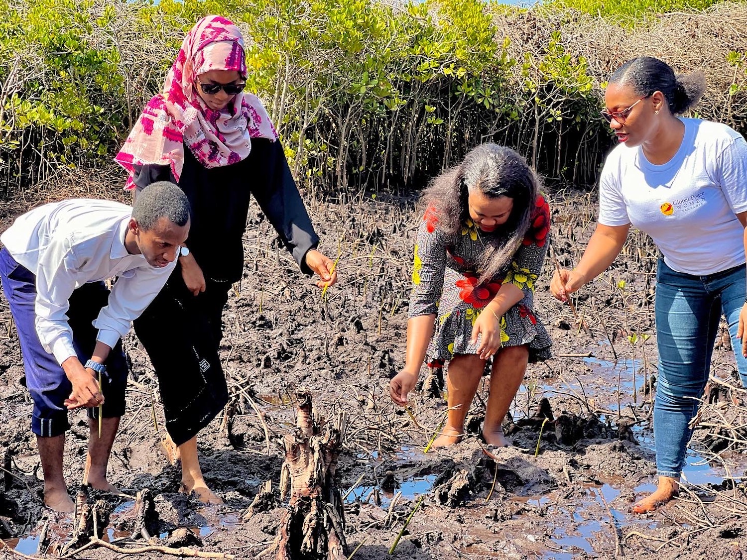 A group of people are planting trees in a muddy area to celebrate International Day of Peace in Tanzania.