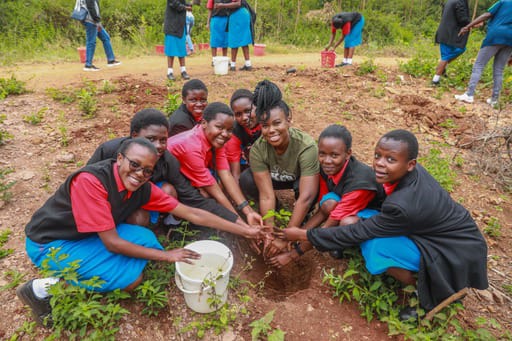 A group of students in school uniforms is joyfully participating in a tree-growing campaign for Mazingira Day. Guided by an adult, they gather around the sapling, buckets at the ready, eager to contribute to a greener future.