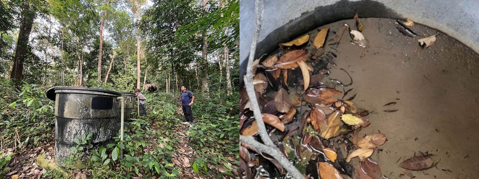 Two people stand beside large trash bins in a forest; the right image shows leaves floating in muddy water inside a container. This scene underscores Micron's mission with Global Peace Partner to bring clean water to Orang Asli communities.