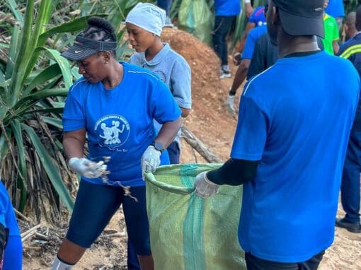Growing Peace through Nature: Communities Leading Environmental Action