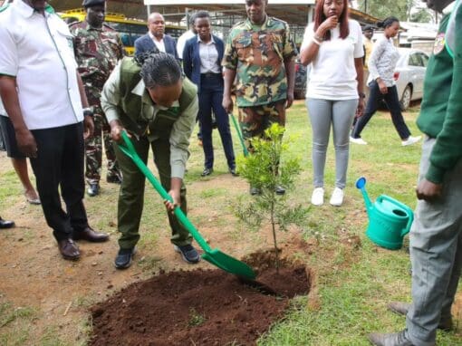 7 Ways Global Peace Foundation Supports the Well-Being of the Planet