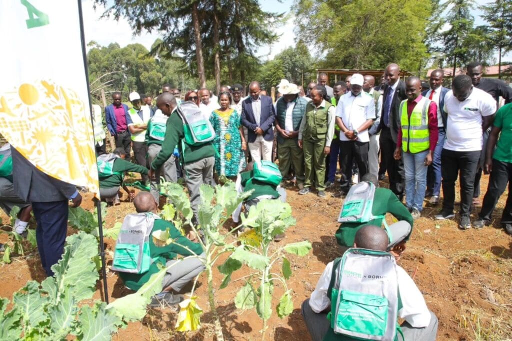 A group of people observe Climate Champions from GPF Kenya in uniforms planting seedlings in a tree nursery during a tree-planting event.