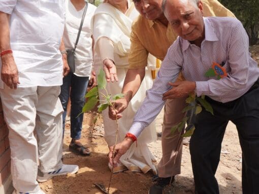 India Marks International Day of Families 2025: Strengthening Families for a Sustainable Future