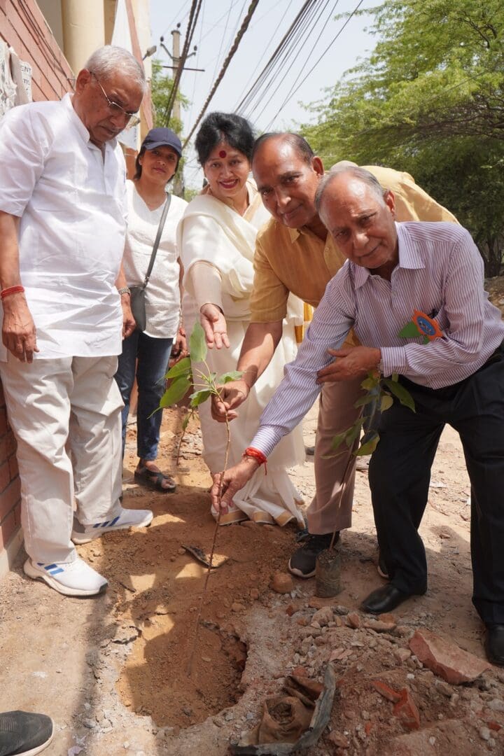 A group of adults plants a sapling in a pit next to a sidewalk, celebrating the International Day of Families and working together for a sustainable future on a sunny day.