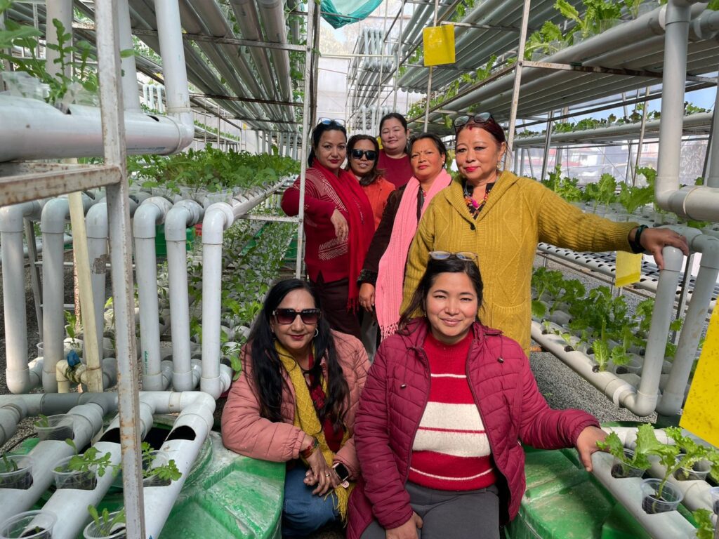 Seven women pose together inside a hydroponic greenhouse, surrounded by rows of leafy green plants growing in white PVC pipes, embodying women empowerment and GPF Nepal’s vision for a greener Kathmandu.