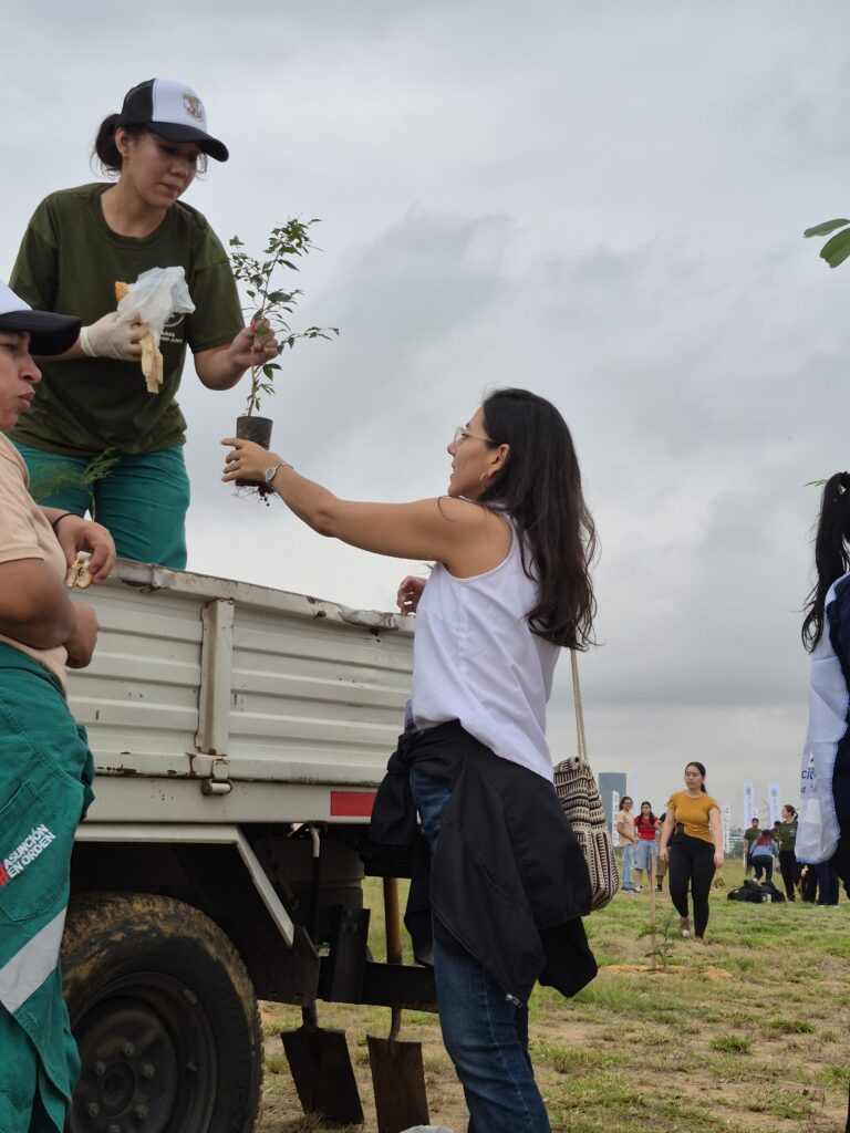 A woman stands next to a truck receiving a small tree sapling from another woman in gloves and a cap at the Plantatón 2026, a community-led environmental action by Global Peace Foundation Paraguay. Others and more saplings are seen in the background.