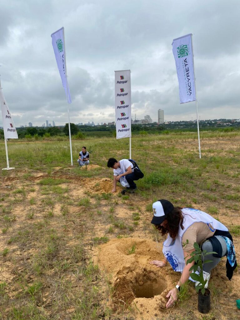 Three people plant saplings in a grassy field under cloudy skies during Plantatón 2026, with white flags showing Global Peace Foundation Paraguay logos and a cityscape visible in the background, highlighting environmental action.