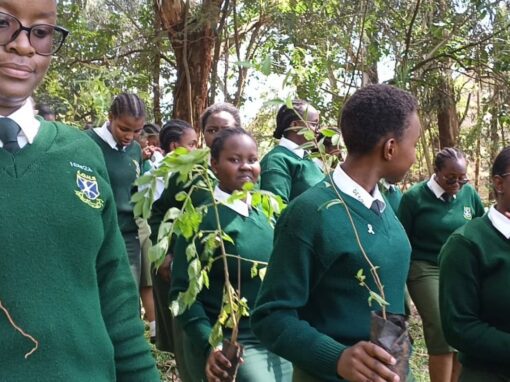 GPF Kenya Joins Partners to Inspire Girls’ Leadership in Environmental Action Through Tree Growing Initiative